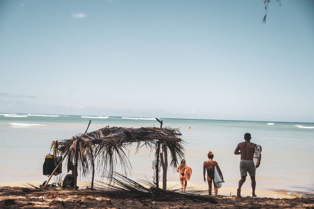 Hip Pack - Midnight Blooms